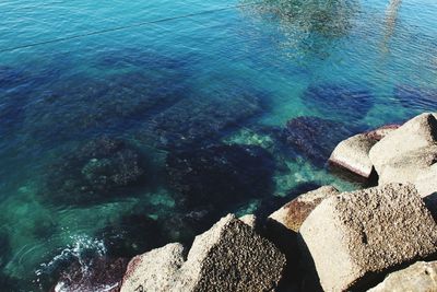 High angle view of rocks in sea