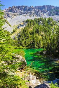 Scenic view of lake by trees against mountain