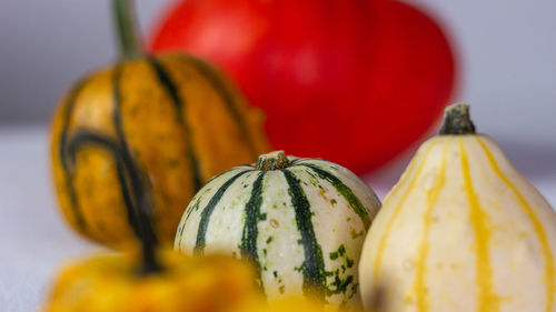 Close-up of pumpkin against gray background