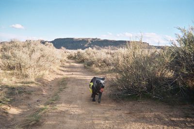 Rear view of person walking on road amidst land