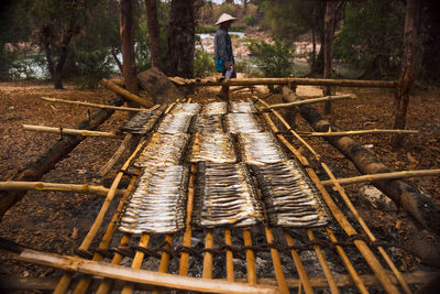 Man standing on metallic structure in forest