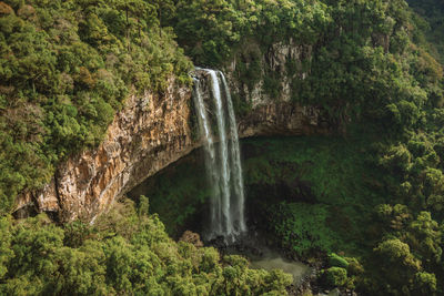 Caracol waterfall falling from rocky cliff in a canyon covered by forest near canela, brazil.