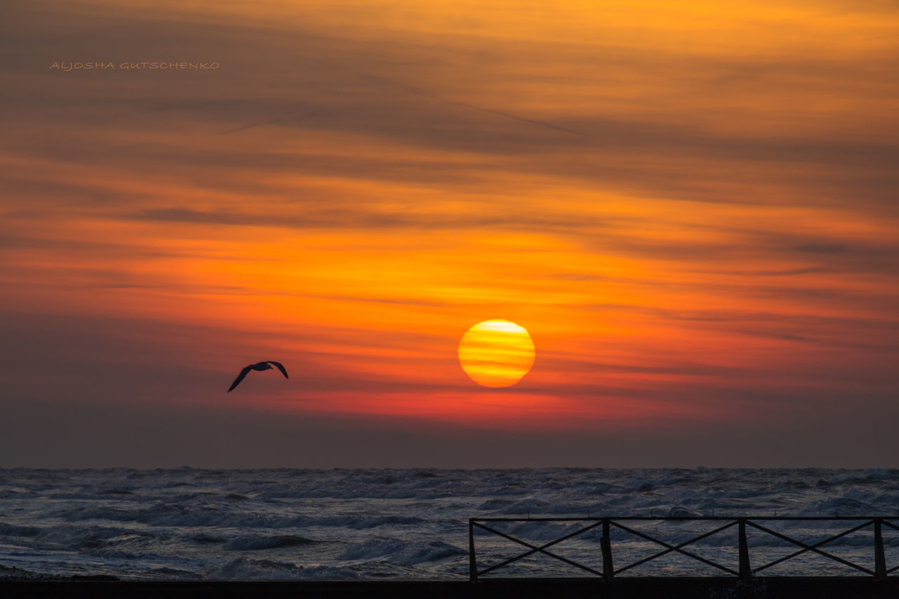 sky, sunset, sea, water, beauty in nature, horizon over water, scenics - nature, orange color, cloud - sky, horizon, nature, tranquility, idyllic, tranquil scene, no people, non-urban scene, sun, outdoors, motion