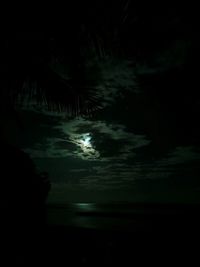 Reflection of trees in lake at night