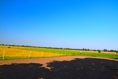 Scenic view of field against clear blue sky