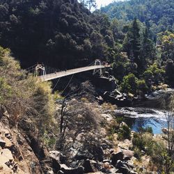 Scenic view of waterfall