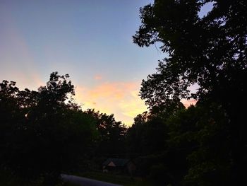 Silhouette trees by building against sky during sunset