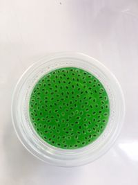 High angle view of drink on table