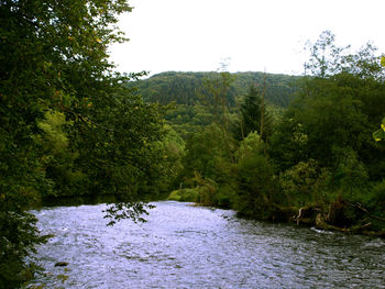 Scenic view of calm lake against clear sky