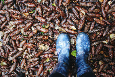 Low section of woman standing on pine cones in rubber boots