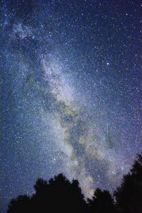 Low angle view of silhouette trees against sky at night