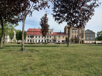 View of lawn with buildings in background