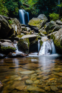Scenic view of waterfall in forest