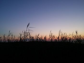 Scenic view of landscape at sunset