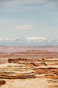 View of the maze canyonlands utah with la sal mountains in distance