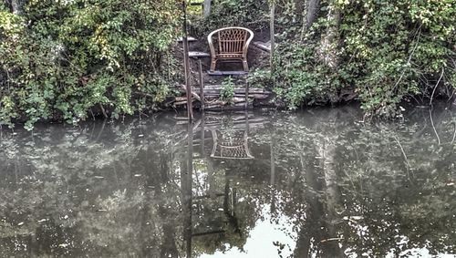 Reflection of trees in water