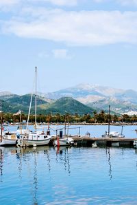 Sailboats moored at harbor