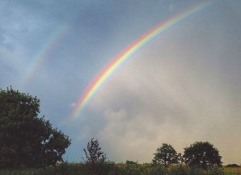 Rainbow over trees