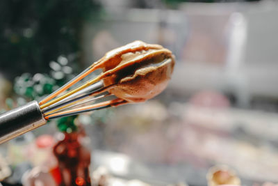 Close-up of hand holding meat