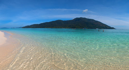 Scenic view of beach