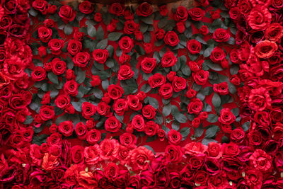 Full frame shot of red roses