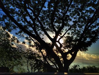 Low angle view of silhouette tree against sky