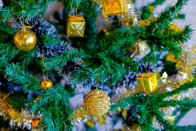 Close-up of christmas decorations hanging on tree