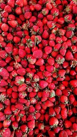 Full frame shot of red berries