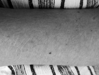 Close-up of building