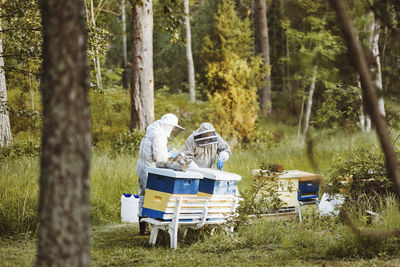 Beekeepers working on field