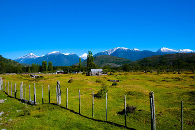 Scenic view of field against blue sky