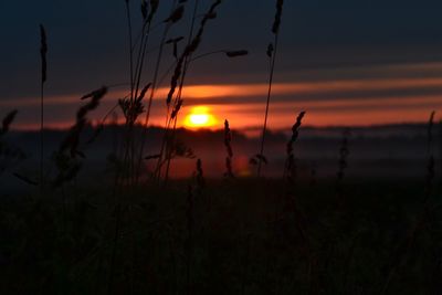 Scenic view of sunset