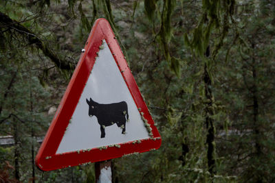 Sign in gran canaria 