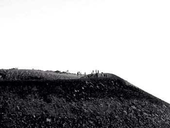 Low angle view of horses on landscape against clear sky