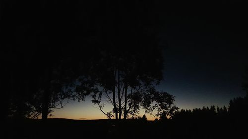 Low angle view of silhouette trees against sky at night