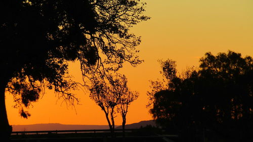 Silhouette trees against sky during sunset