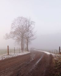 Road passing through forest