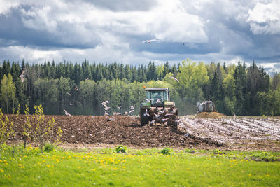 Two tractors plowing fertilizer into the soil on agricultural field in springtime