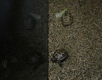 Full frame shot of weathered wall