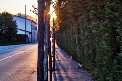 Road amidst trees against sky during sunset