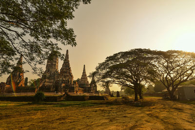 Trees in a temple against clear sky