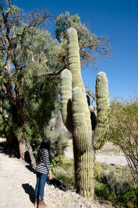 Rear view of woman standing by cactus against sky