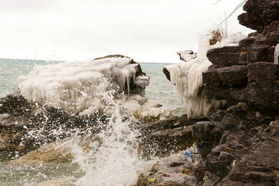 Close-up of elephant on beach against sky