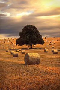 Hay bales on field against sky during sunset