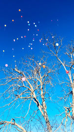 Low angle view of flowering tree against blue sky