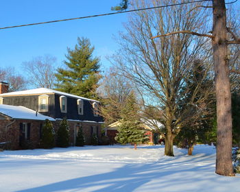 View of building with trees in background