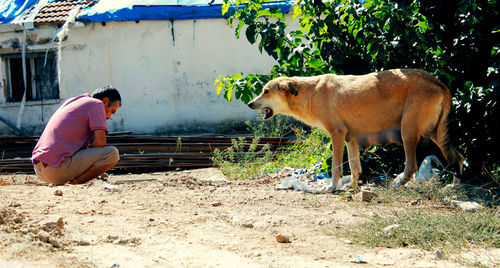 Side view of child against clear sky