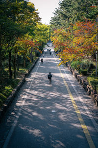 Man riding bicycle on road in city during autumn