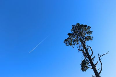 Low angle view of vapor trail against clear blue sky