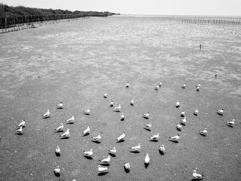 Tranquil scene of sea